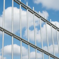 Plotový panel BRAVO 2D pozink 2030 mm